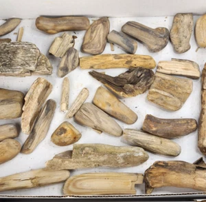 Petrified Wood 32 Piece 4.7 lb Bulk Lot - Various Unknown Locality - Wholesale - Picture 1 of 16
