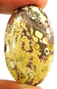 43.60 CT Naturel Léopard Peau Jaspre Ample Pierre Précieuse Cabochon Fil Drapé - - Picture 1 of 2