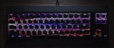 Finalmouse Centerpiece - Founders Edition (CONFIRMED PREORDER) - Image 1 of 2