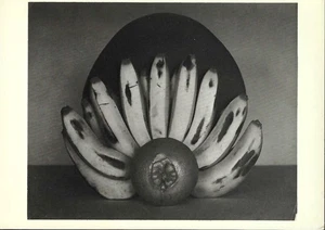 Cartolina d'epoca, Edward Weston, disposizione delle banane, fotografia d'arte, mai usata - Foto 1 di 2