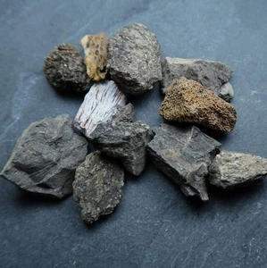 Fossil dinosaur bone fragments | UK Shop - Picture 1 of 10