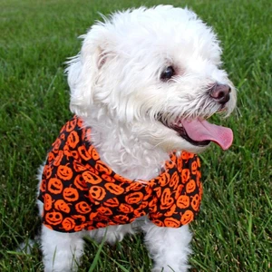 Camisa de campamento con diseño de perro Jack O Lanterns - Imagen 1 de 3