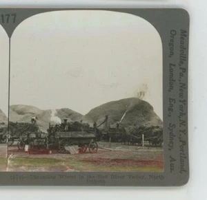 Threshing Wheat Red River Valley ND North Dakota Keystone Stereoview - Picture 1 of 2