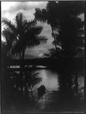 Photo:Brazil,South America,1920-1930,Sunset of the Amazon River,trees