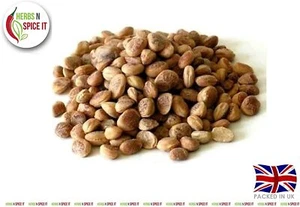 Tuerca suelta 100 gm Charoli Chironji Cheraunji calidad premium FreeP&P HerbsnSpiceit - Imagen 1 de 1