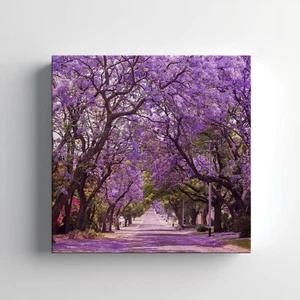 Arte da parete stampa su tela alberi Jacaranda viola, elegante appendiabiti da parete arredamento casa - Foto 1 di 12