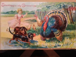1908 Thanksgiving Greetings Postcard Embossed Dogs and Turkey No 669 Saxony - Picture 1 of 2