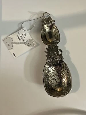 Cuchara Medidora Ganz Diseño 4 en 1 Piña ER69395 Foto 1 de 4