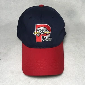 Gorra de béisbol Portland Sea Dogs MILB adulto OSFA Medias Rojas afiliado menor Maine - Imagen 1 de 13