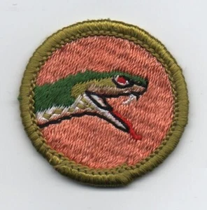 Insignia de mérito de estudio de reptiles, tipo G, parte posterior de tela (1962-72), ¡como nueva! - Imagen 1 de 1