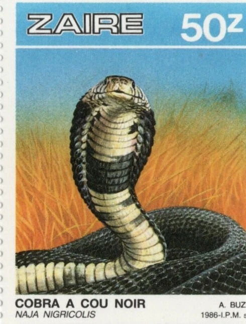 ZAIRE MNH REPTILE POSTAGE STAMP # 3 - Image 1 of 1