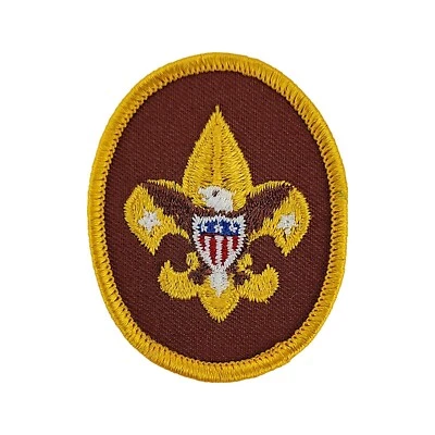 Boy Scouts BSA Oval Patch Brown & Gold Tenderfoot Rank - Image 1 of 3