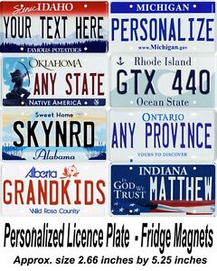 Personalized Mini Licence Plate Fridge Magnets Any State or Province Any Text