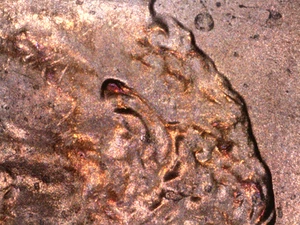 2021 D Lincoln Cent Coin Doubling On Ear - Picture 1 of 2