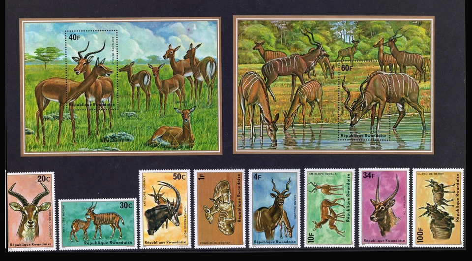 Juego de antílopes M29017 Ruandaise 1975 X8 +X2m/s UMM Sg 631/9 Cat £71,50 Foto 1 de 1