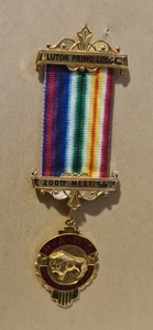 R.A.O.B. Luton Primo Lodge 200th Meeting - Buffalo Breast Jewel - Foto 1 di 2