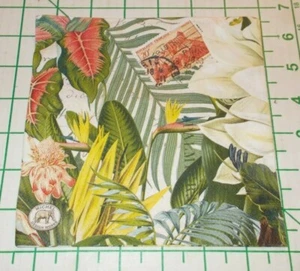 Two Decorative Luncheon Napkins for Decoupage "Vanilla Palm" - Picture 1 of 5