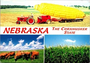 NEBRASKA The Cornhusker State multi view 4x6 farming Postcard - Picture 1 of 2