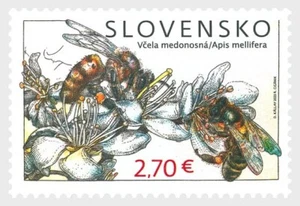 SLOWAKEI - Naturschutz: Dunkle Europäische Biene (Apis mellifera) 2023** - Picture 1 of 1