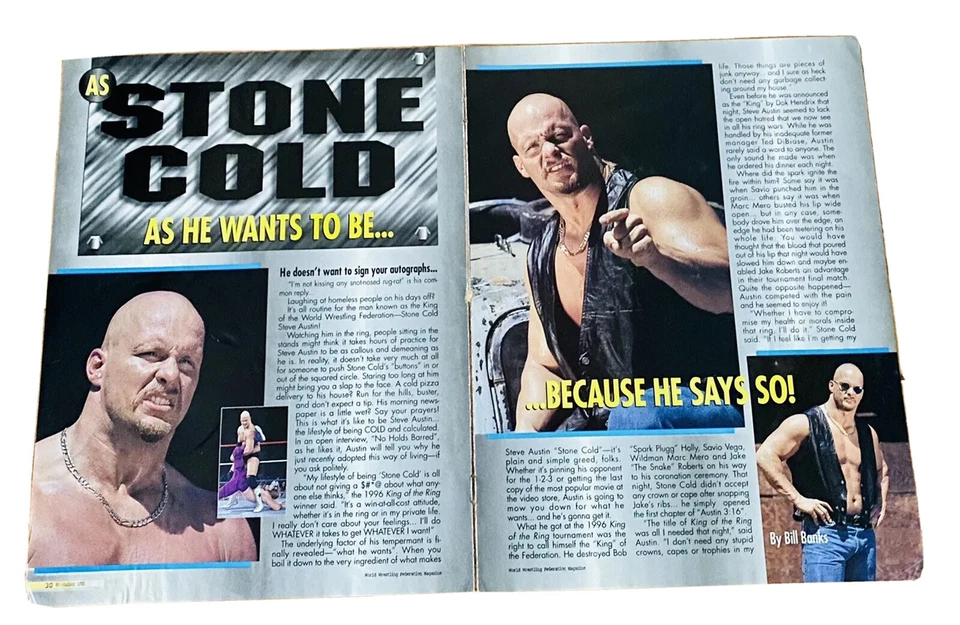 Stone Cold Steve Austin 1996 revista WWF foto impresión artículo 2 páginas 🌟Raro Foto 1 de 1