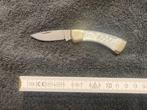 Kleines Taschenmesser Griffschalen Perlmutt?? - Bild 1 von 2