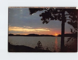 Postal An Indigo Sunset Silhouettes a Tall Pine in Canada's Lake Country - Imagen 1 de 2