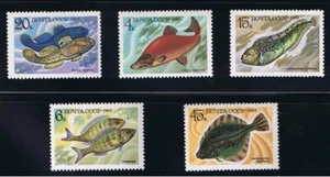 FISH = full set of 5 stamps = Russia 1983 Sc 5164-5168 MNH - Picture 1 of 1