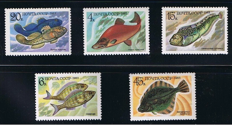 FISH = full set of 5 stamps = Russia 1983 Sc 5164-5168 MNH - Image 1 of 1