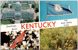 Grüße aus Kentucky State Capitol Frankfurt Flagge Kardinal Goldenrod Postkarte - Bild 1 von 2