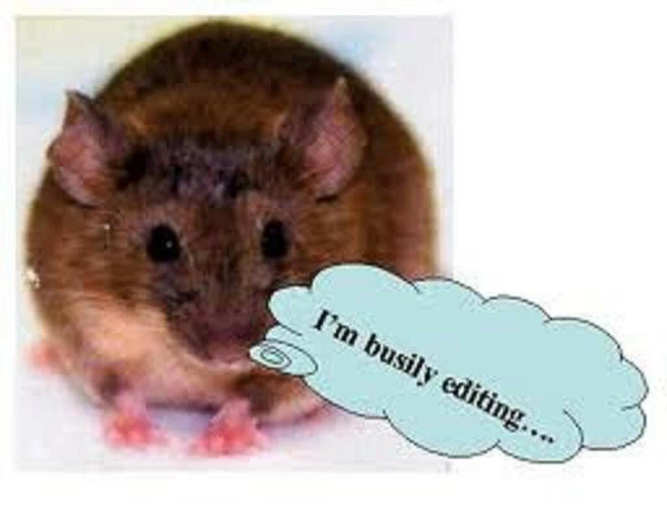  Furniture Coffee Table Replacement Glass in REVISING - Image 1 of 1