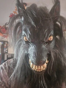 Beautiful Werewolf Mask By October Studios. Brand New. Never Worn - Picture 1 of 5