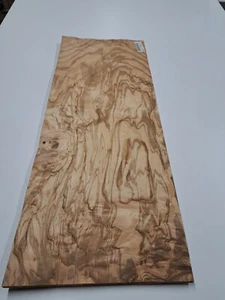Impiallacciatura cenere oliva selvatica - 1 foglio di legno naturale - 730 mm x 280 mm - Foto 1 di 6