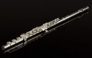 Pearl 665RBE1RB Quantz Series Flute - Picture 1 of 2