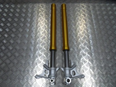 Original Aprilia RS 660 Par de patas de horquilla delanteras 2020 a 2025 NUEVO Otros Foto 1 de 4