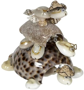 Figura Tortuga 3 Conchas Cowrie - 3 Pilas 5" (Juego de 3) - Imagen 1 de 1