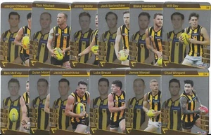 2022 Teamcoach Silver Team Set - HAWTHORN - Imagen 1 de 1