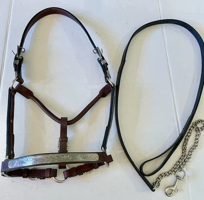 Showmanship Halter Silver Accents Buckles & Lead Dark Brown Bridle Leather - Image 1 of 4