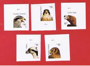 #4608-4612 MNH S/A Birds of Prey singles with plate numbers Free S/H - Picture 1 of 1