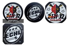 2001-02 WHEELING NAILERS ECHL OFFICIAL LINDSAY HOCKEY PUCK MADE IN CANADA