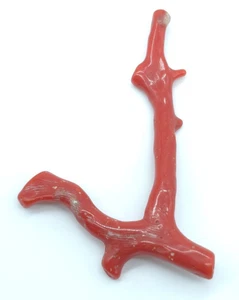 Italian Red Coral Branch Natural Gemstone Genuine Red Coral Polished Branch - Picture 1 of 9