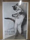 Thank God It's Friday 1972 Cat Fish Poster Garage Cng3357