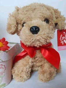 puppy Teddy - Picture 1 of 2