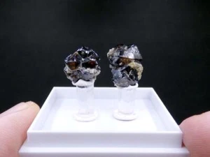 FD MINERALS: Twinned Cassiterite crystals - Panasqueira Mine - Portugal - pt 72 - Picture 1 of 3