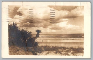 Postcard c1946 Daytona Beach, Daytona, Florida - Picture 1 of 2