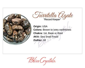 TURITELLA AGATE Crystal Information Card, Double sided #HC106 - Picture 1 of 2