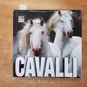 Caballos Cubo Book 26x26 CM Estrella Blanca 2007 Equinos Rodeo Palio Caballero - Imagen 1 de 6