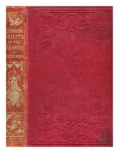 WOOD, J. G. (JOHN GEORGE) (1827-1889) The common objects of the sea shore : incl
