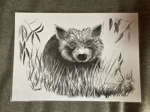 Boceto de artista australiano Leo Buckley laminado A4 esponjoso wombat - Imagen 1 de 1