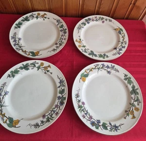 Woodhill By Citation 10.5" Dinner Plates Set of 4 Floral Brown Trim EXCELLENT  - Picture 1 of 4