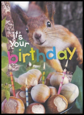 Greeting Card - Squirrel - Birthday 0850 - Image 1 of 2